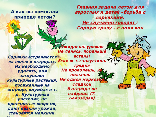 Главная задача летом для взрослых и детей –борьба с сорняками. Не случайно говорят  : Сорную траву – с поля вон А как вы помогали природе летом? Ожидаешь урожая Не ленись, пораньше встань! Если ж ты запустишь грядки Не прополешь, не польешь – Ни одной морковки сладкой В огороде не найдешь (Т. Белозёров)  Сорняки встречаются на полях и огородах. Их необходимо удалять, они заглушают культурные растения, посаженные на огороде, клумбах и т. д. Культурные растения, не прополотые вовремя, дают низкий урожай, становятся мелкими. Иногда не прополотые растения могут даже погибнуть. 