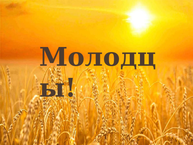 Молодцы! 