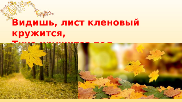 Разговоры о важном 3 класс октябрь. Видишь лист кленовый кружится. Семнадцатое октября. Разговоры о важном 17 октября. Разговор о важном 1 класс 24 октября презентация.