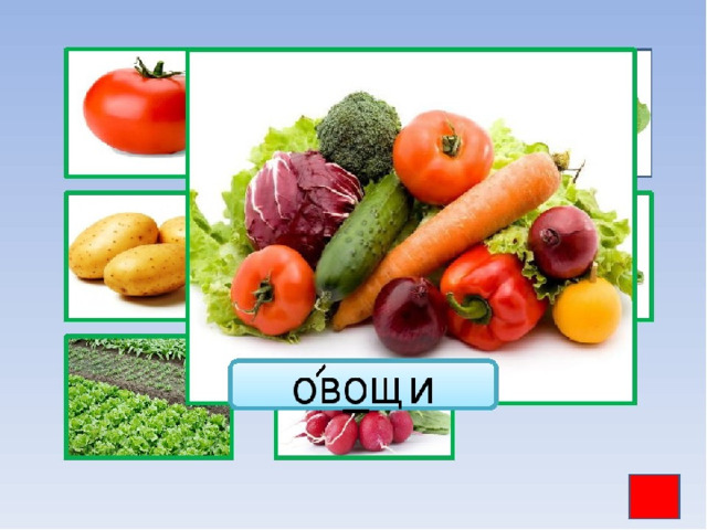 Слово овощ. Словарная работа овощи. Словарные слова овощи. Овощной словарное слово. Словарное слово овощи в картинках.