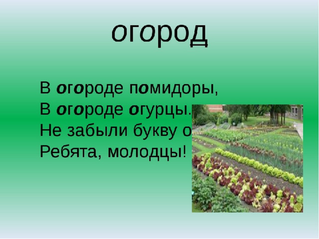 Слово огород. Словарное слово огород в картинках. Слова на тему огород. Огород Словарная работа. Словарные слова на тему огород.