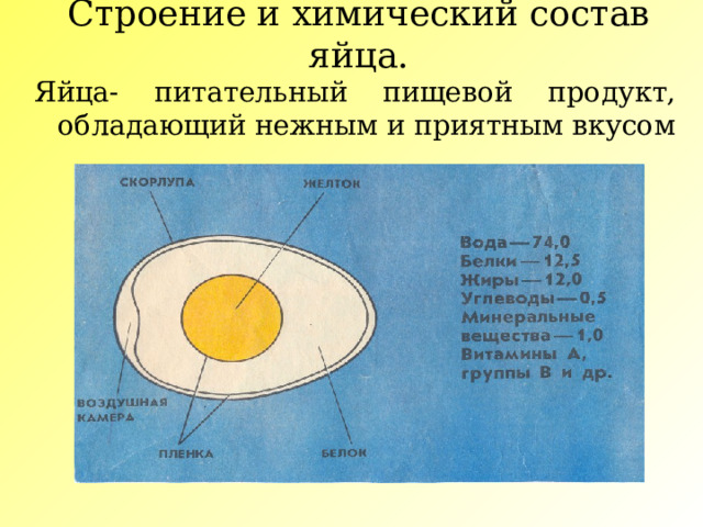 Яйца состав на 100. Состав яйца. Из чего состоит яйцо куриное. Желток питательные вещества. Состав яйца 40 г.