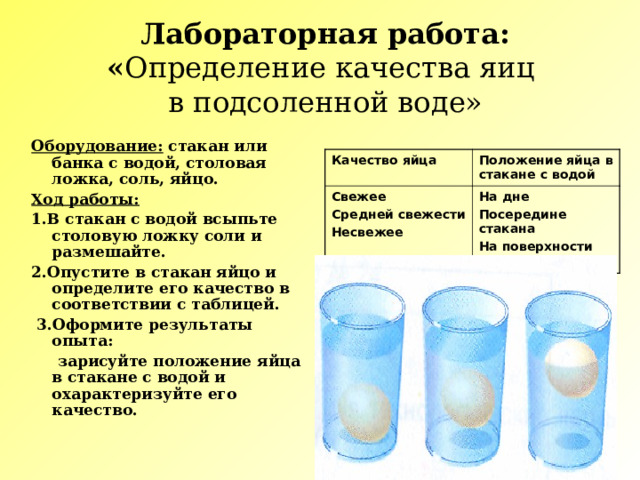 Лабораторная работа:  « Определение качества яиц  в подсоленной воде» Оборудование: стакан или банка с водой, столовая ложка, соль, яйцо. Ход работы: 1.В стакан с водой всыпьте столовую ложку соли и размешайте. 2.Опустите в стакан яйцо и определите его качество в соответствии с таблицей.  3.Оформите результаты опыта:  зарисуйте положение яйца в стакане с водой и охарактеризуйте его качество. Качество яйца Положение яйца в стакане с водой Свежее Средней свежести Несвежее На дне Посередине стакана На поверхности воды 