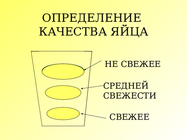 ОПРЕДЕЛЕНИЕ  КАЧЕСТВА ЯЙЦА НЕ СВЕЖЕЕ СРЕДНЕЙ СВЕЖЕСТИ СВЕЖЕЕ 