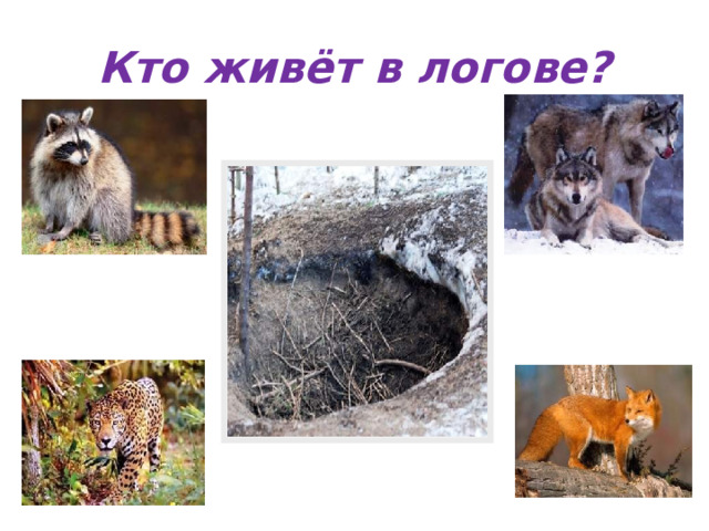 Кто живёт в логове? 