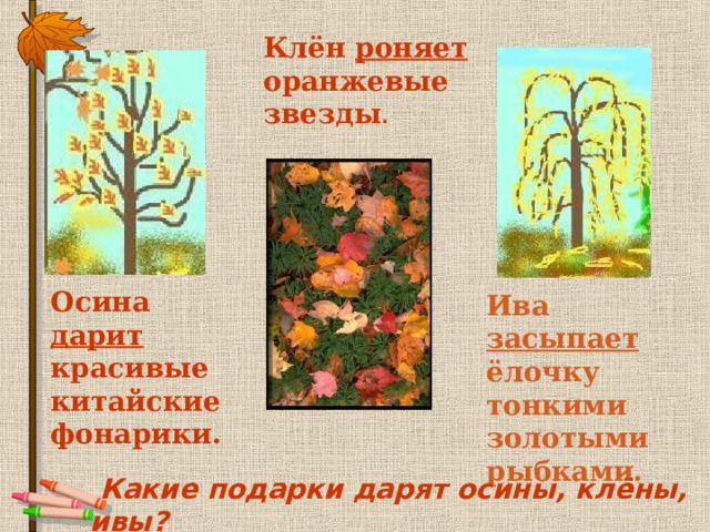 Клён роняет оранжевые звезды .       Осина дарит красивые китайские фонарики. Ива засыпает ёлочку тонкими золотыми рыбками.      Какие подарки дарят осины, клёны, ивы?   