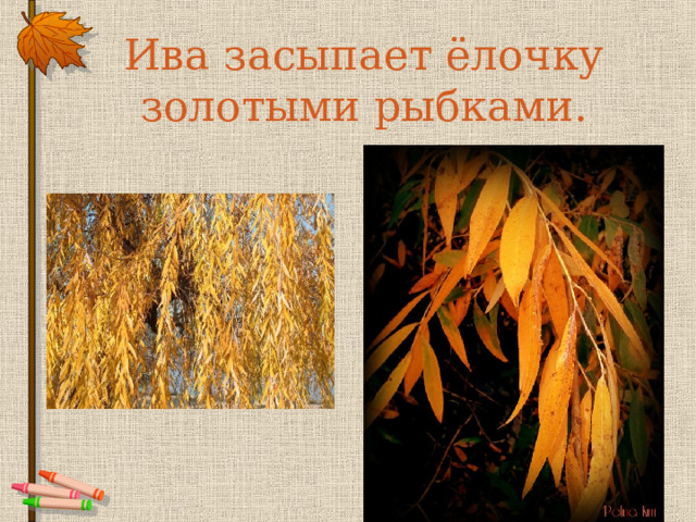 Ива засыпает ёлочку золотыми рыбками.   