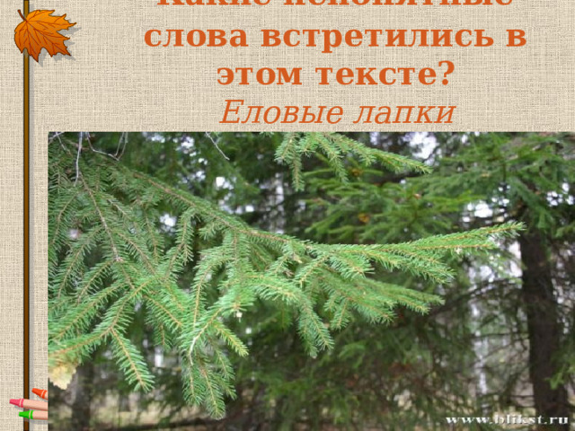  Какие непонятные слова встретились в этом тексте?  Еловые лапки 