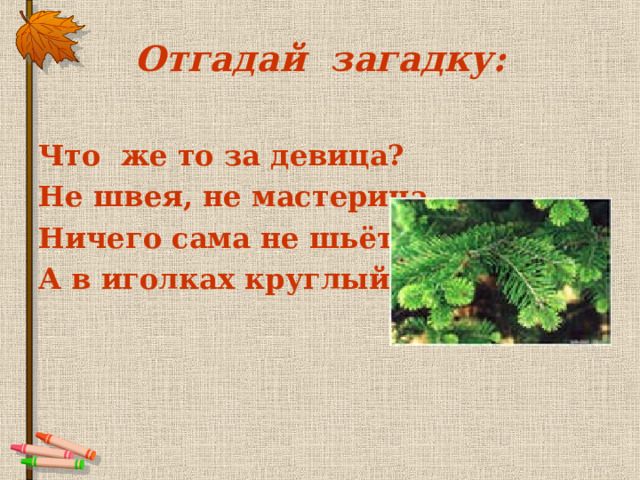 Отгадай загадку:  Что же то за девица? Не швея, не мастерица. Ничего сама не шьёт А в иголках круглый год . 