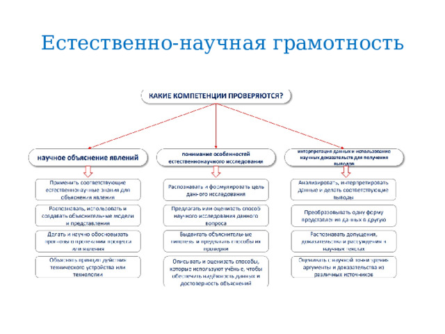 Естественно-научная грамотность 