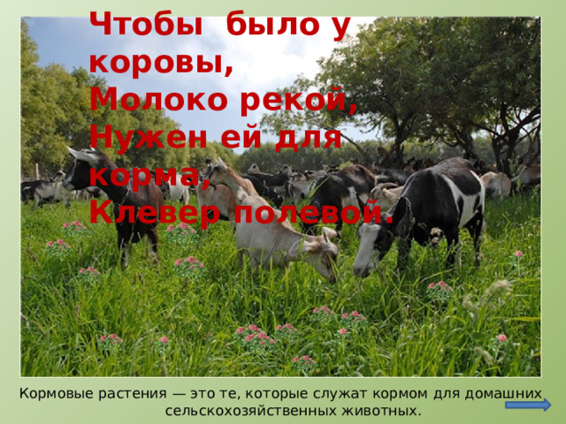 Чтобы было у коровы,  Молоко рекой,  Нужен ей для корма,  Клевер полевой. http://reveriess.ru/viewtopic.php?f=80&t=302&start=10&sid=02433a1cc36548edb4af7aa93c8fb659 Кормовые растения — это те, которые служат кормом для домашних сельскохозяйственных животных.  