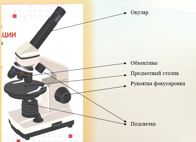 Части микроскопа выполняют функции предметный столик. Предметный столик микроскопа. Предметный стол для микроскопа. Микроскоп своими руками для детей. Столик для микроскопа своими руками.