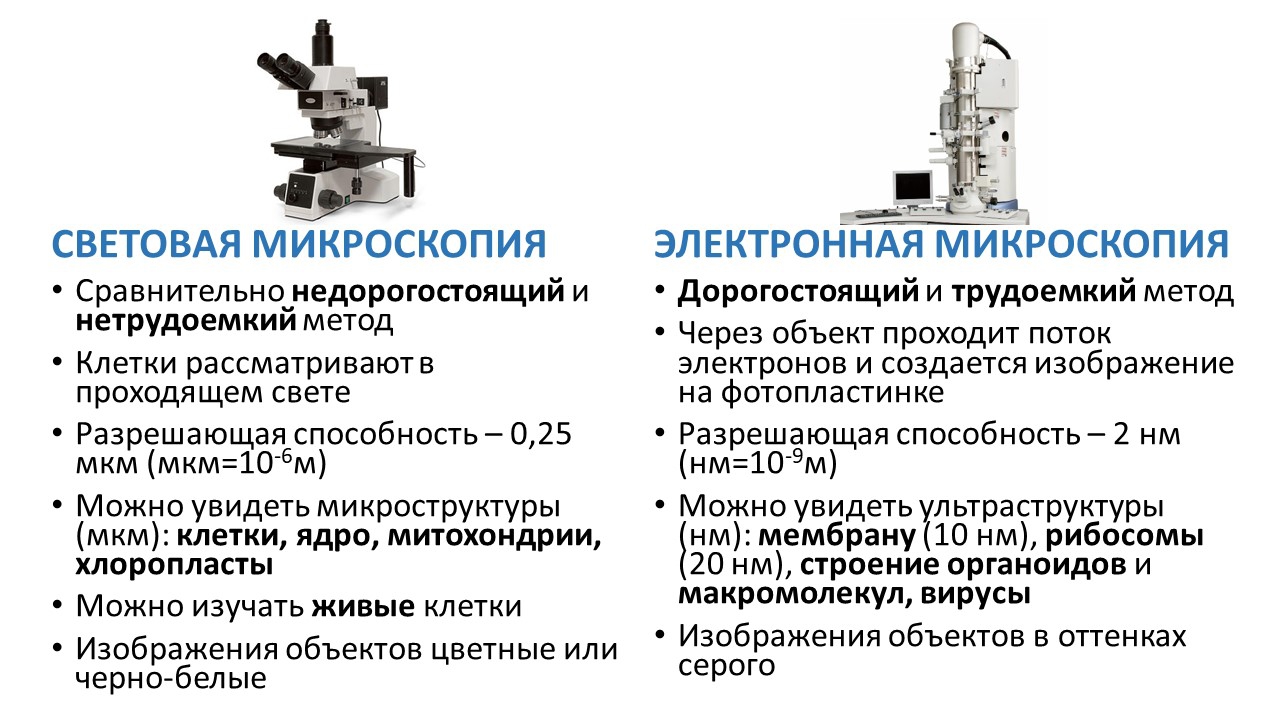 Микроскопический метод исследования в микробиологии презентация