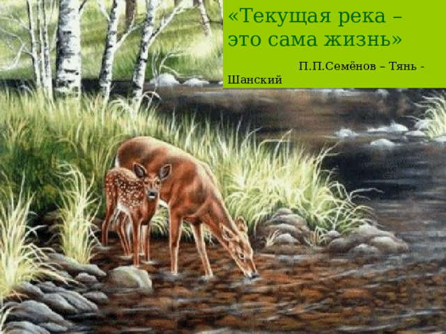 «Текущая река – это сама жизнь»  П.П.Семёнов – Тянь - Шанский - Не случайно сказал Пётр Петрович Семенов-Тян-Шанский, что “Текущая река – это сама жизнь” 