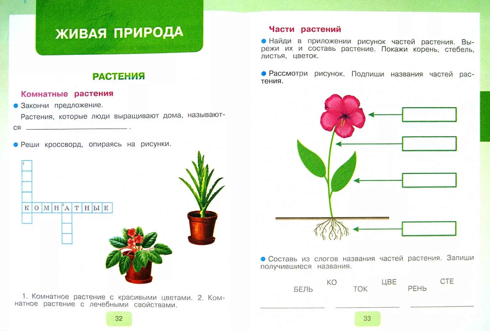 Какие бывают растения рабочая тетрадь