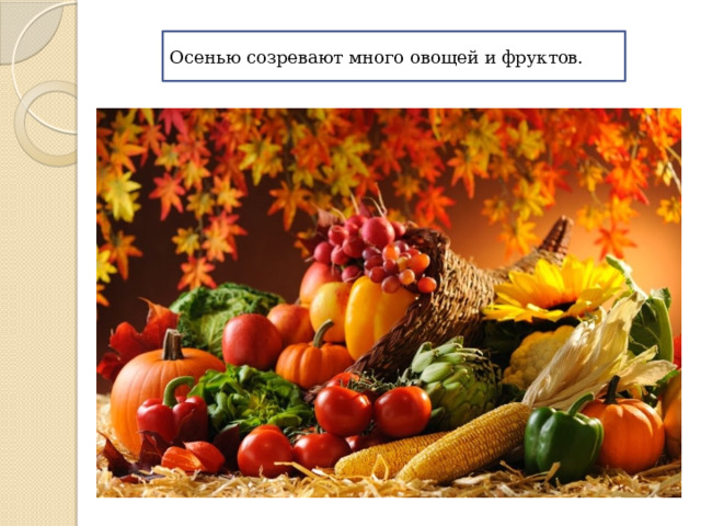 Осенью созревают много овощей и фруктов. 