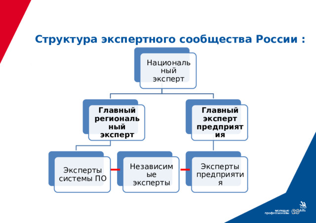 Структура экспертного сообщества России : Национальный эксперт Главный эксперт предприятия Главный региональный эксперт Эксперты системы ПО Эксперты предприятия Независимые эксперты 39 39 