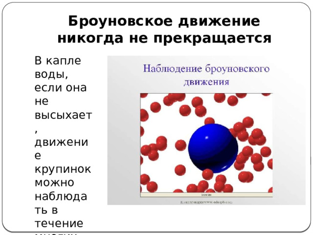 Механический модуль движения броуновского движения. Броуновское движение происходит из за того что. Броуновское движение днем и ночью