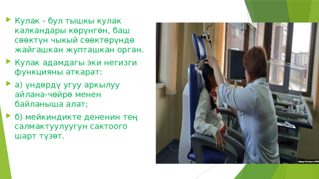 Кулак - бул тышкы кулак калкандары көрүнгөн, баш сөөктүн чыкый сөөктөрүндө жайгашкан жупташкан орган. Кулак адамдагы эки негизги функцияны аткарат: а) үндөрдү угуу аркылуу айлана-чөйрө менен байланыша алат; б) мейкиндикте дененин теӊ салмактуулуугун сактоого шарт түзөт. 