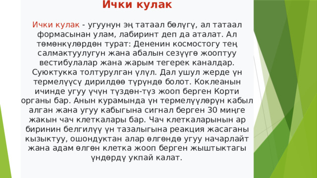Ички кулак   Ички кулак - угуунун эң татаал бөлүгү, ал татаал формасынан улам, лабиринт деп да аталат. Ал төмөнкүлөрдөн турат: Дененин космостогу тең салмактуулугун жана абалын сезүүгө жооптуу вестибулалар жана жарым тегерек каналдар. Суюктукка толтурулган үлүл. Дал ушул жерде үн термелүүсү дирилдөө түрүндө болот. Коклеанын ичинде угуу үчүн түздөн-түз жооп берген Корти органы бар. Анын курамында үн термелүүлөрүн кабыл алган жана угуу кабыгына сигнал берген 30 миңге жакын чач клеткалары бар. Чач клеткаларынын ар биринин белгилүү үн тазалыгына реакция жасаганы кызыктуу, ошондуктан алар өлгөндө угуу начарлайт жана адам өлгөн клетка жооп берген жыштыктагы үндөрдү укпай калат.      