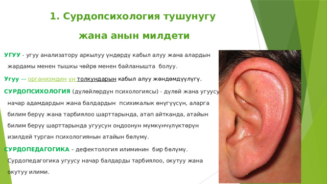 1. Сурдопсихология тушунугу  жана анын милдети УГУУ - угуу анализатору аркылуу үндөрдү кабыл алуу жана алардын жардамы менен тышкы чөйрө менен байланышта болуу.  Угуу  —  организмдин   үн  толкундарын  кабыл алуу жөндөмдүүлүгү. СУРДОПСИХОЛОГИЯ (дүлөйлөрдүн психологиясы) - дүлөй жана угуусу начар адамдардын жана балдардын психикалык өнүгүүсүн, аларга билим берүү жана тарбиялоо шарттарында, атап айтканда, атайын билим берүү шарттарында угуусун оңдоонун мүмкүнчүлүктөрүн изилдей турган психологиянын атайын бөлүмү.  СУРДОПЕДАГОГИКА – дефектология илиминин бир бөлүмү. Сурдопедагогика угуусу начар балдарды тарбиялоо, окутуу жана окутуу илими.  