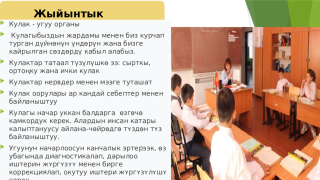 Жыйынтык Кулак ​​- угуу органы  Кулагыбыздын жардамы менен биз курчап турган дүйнөнүн үндөрүн жана бизге кайрылган сөздөрдү кабыл алабыз. Кулактар ​​татаал түзүлүшкө ээ: сырткы, ортоңку жана ички кулак Кулактар ​​нервдер менен мээге туташат Кулак оорулары ар кандай себептер менен байланыштуу Кулагы начар уккан балдарга ɵзгɵчɵ камкордук керек. Алардын инсан катары калыптануусу айлана-чɵйрɵдгɵ тʏздɵн тʏз байланыштуу. Угуунун начарлоосун канчалык эртерээк, ɵз убагында диагностикалап, дарылоо иштерин жʏргʏзʏʏ менен бирге коррекциялап, окутуу иштери жʏргʏзʏлʏшʏ керек. 