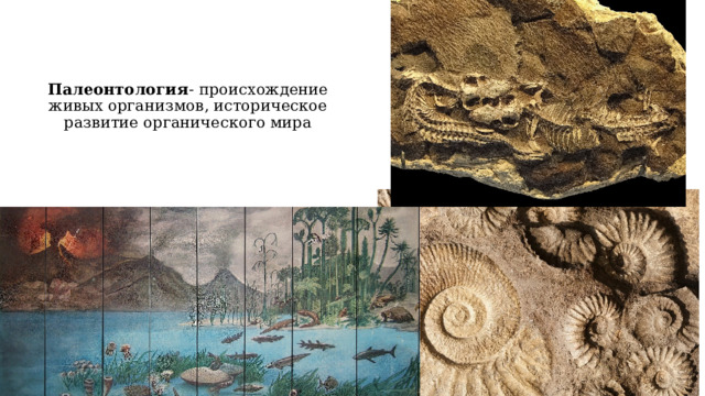 Палеонтология - происхождение живых организмов, историческое развитие органического мира   