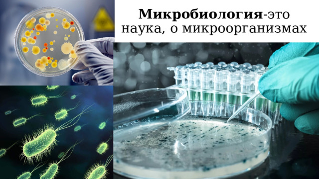 Микробиология -это наука, о микроорганизмах 