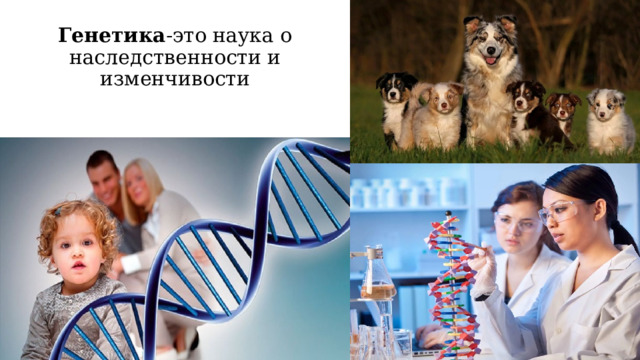 Генетика -это наука о наследственности и изменчивости 