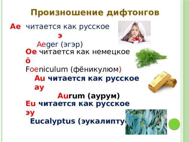 Произношение дифтонгов Ae читается как русское э Ae ger (эгэр) Oe  читается как немецкое ö F oe niculum (фёникулюм ) Au читается как русское ау Au rum (аурум)  Eu читается как русское эу Eucalyptus (эукалиптус) 