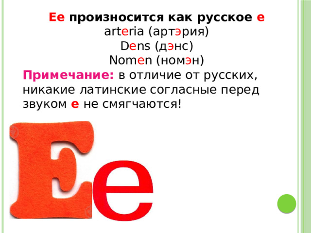 Ее произносится как русское е art e ria (арт э рия) D e ns (д э нс) Nom e n (ном э н) Примечание: в отличие от русских, никакие латинские согласные перед звуком е  не смягчаются!   