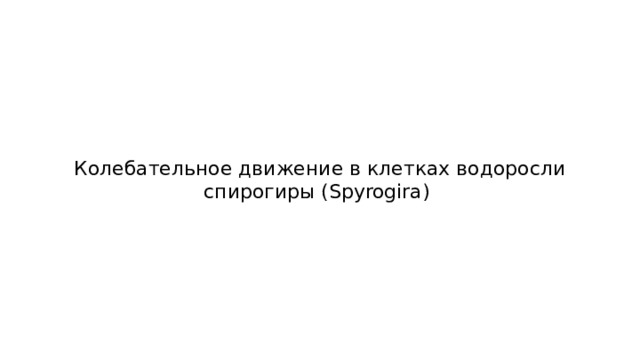 Колебательное движение в клетках водоросли спирогиры (Spyrogira) 