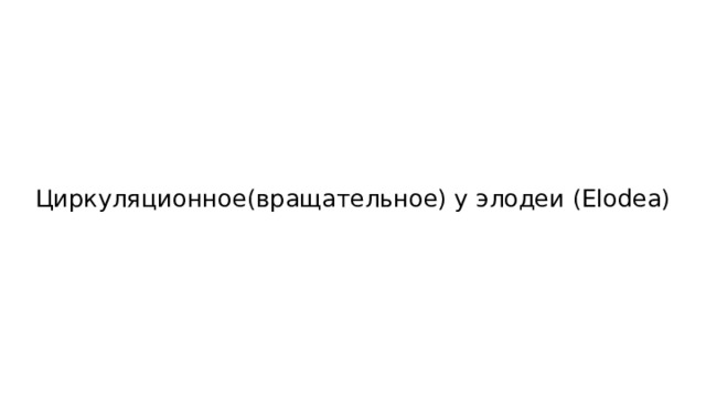 Циркуляционное(вращательное) у элодеи (Elodea) 