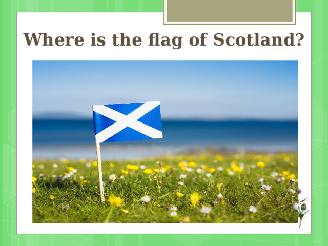 Where is the flag of Scotland? 