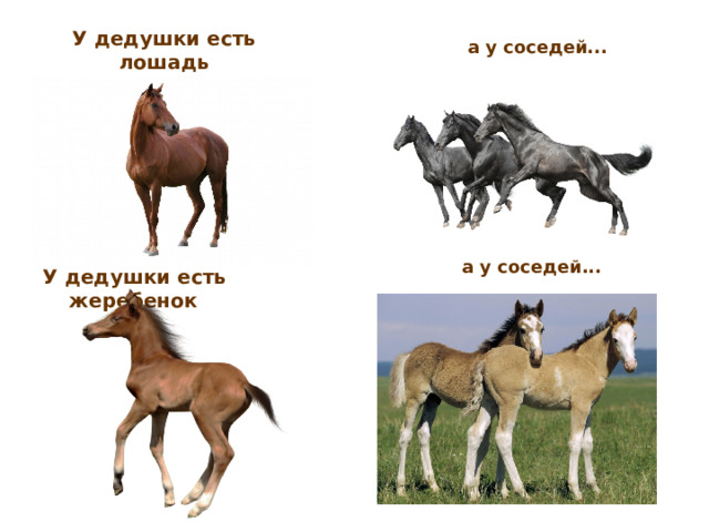 У дедушки есть лошадь а у соседей... а у соседей... У дедушки есть жеребенок 