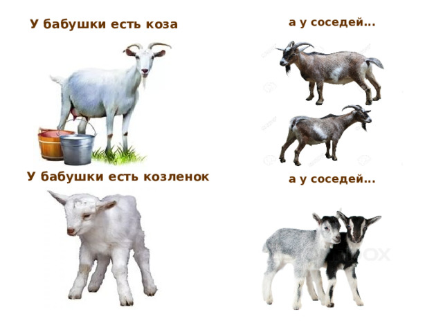 а у соседей... У бабушки есть коза У бабушки есть козленок а у соседей... 