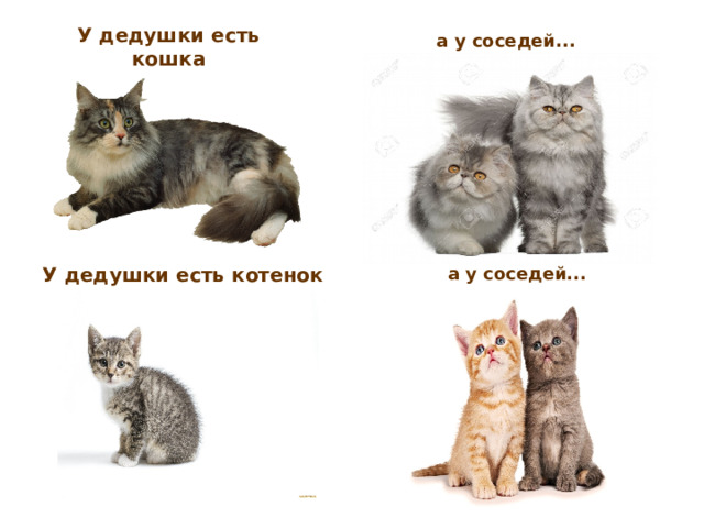 У дедушки есть кошка а у соседей... а у соседей... У дедушки есть котенок 