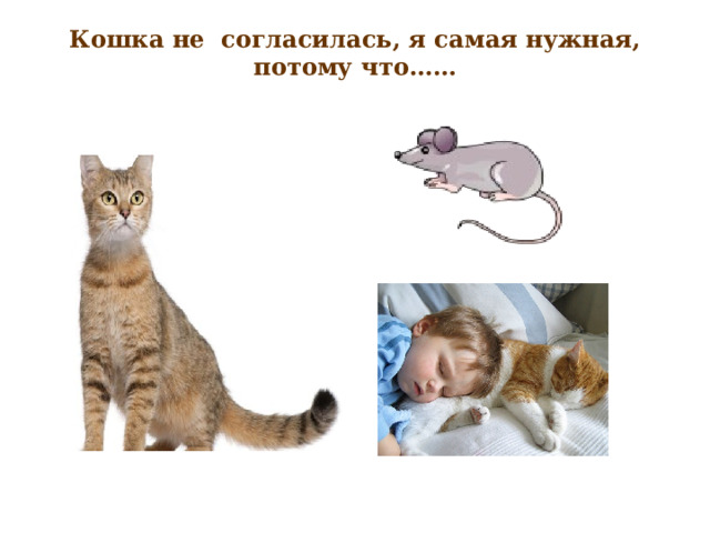Кошка не  согласилась, я самая нужная, потому что……   