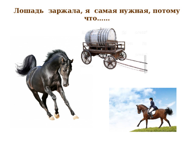 Лошадь  заржала, я  самая нужная, потому что……   