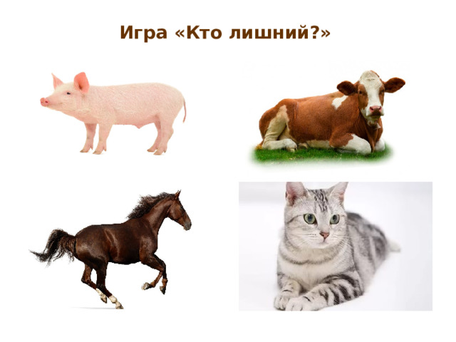 Игра «Кто лишний?»  