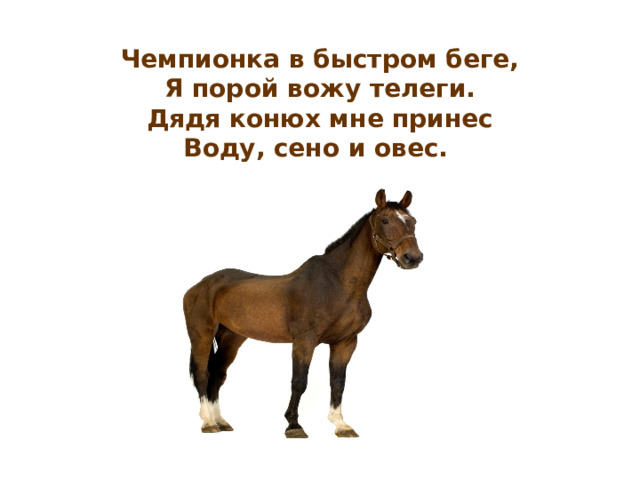   Чемпионка в быстром беге,  Я порой вожу телеги.  Дядя конюх мне принес  Воду, сено и овес.  