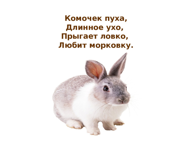   Комочек пуха,  Длинное ухо,   Прыгает ловко,   Любит морковку. 
