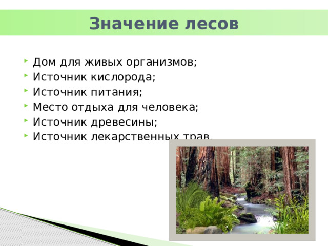 Правовые меры охраны лесов. Законодательные акты по охране лесов и другой растительности. Биология 5 класс творческое задание лес источник древесины.