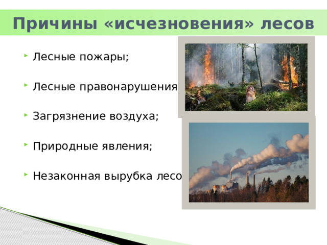 Причины загрязнения леса. Презентация на тему вырубка лесов. Типы причин исчезновения лесов. Бизнес презентация защита леса.