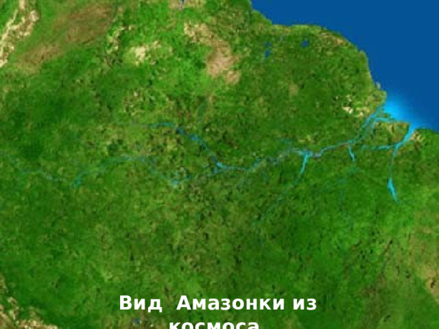 Вид Амазонки из космоса. 