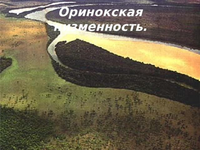 Оринокская низменность. 