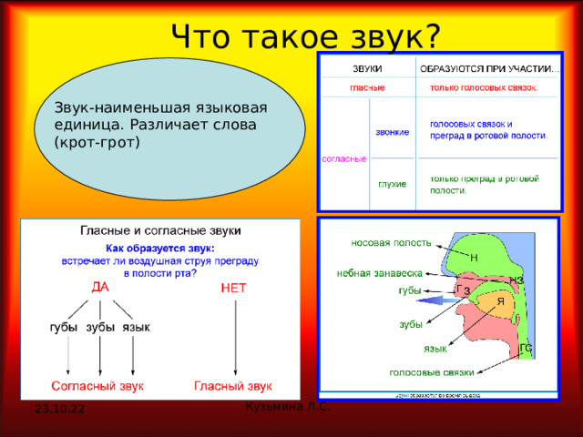 Схема слова крот