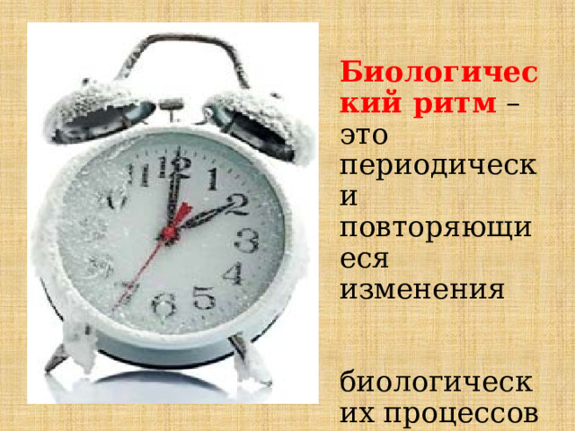  Биологический ритм  – это периодически повторяющиеся изменения биологических процессов в организме человека. 