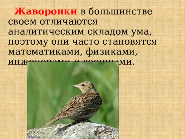  Жаворонки в большинстве своем отличаются аналитическим складом ума, поэтому они часто становятся математиками, физиками, инженерами и военными. 