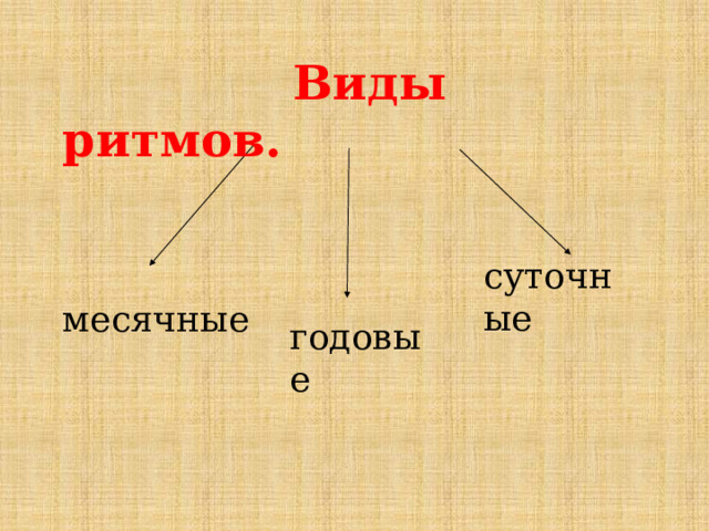  Виды ритмов. месячные суточные годовые 